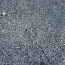 DJI_0563